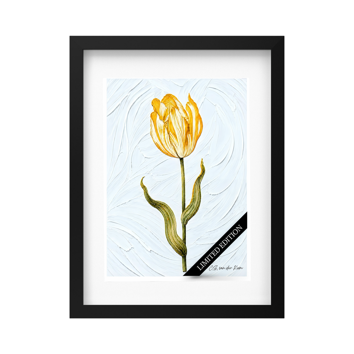 Tulp 03