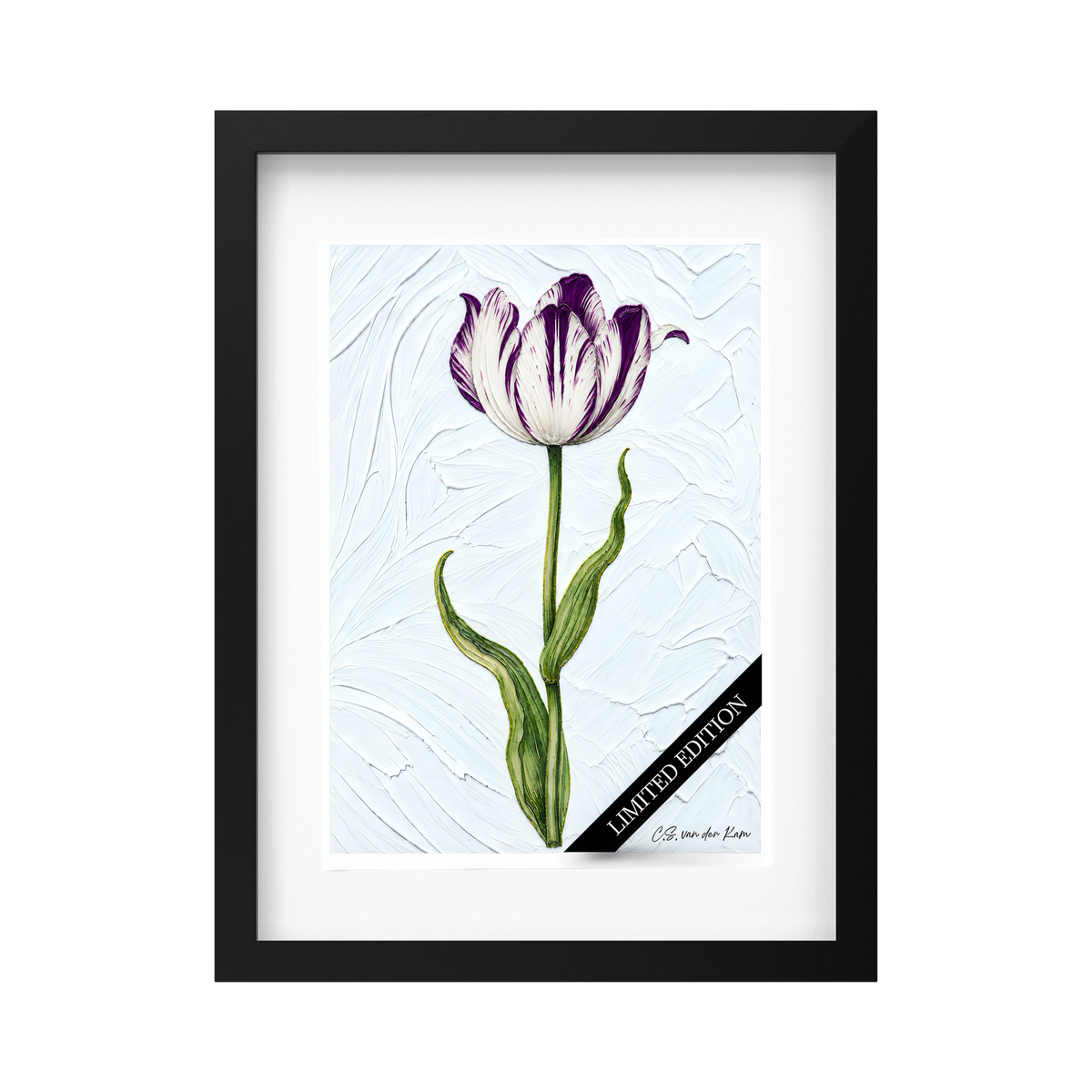 Tulp 08