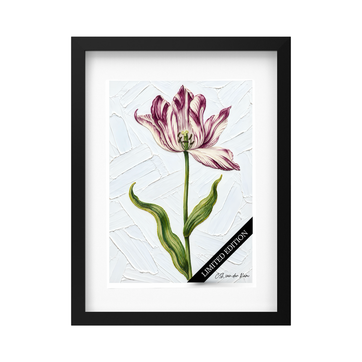 Tulp 04