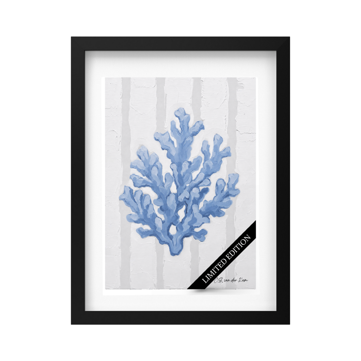 Coral Light Blue