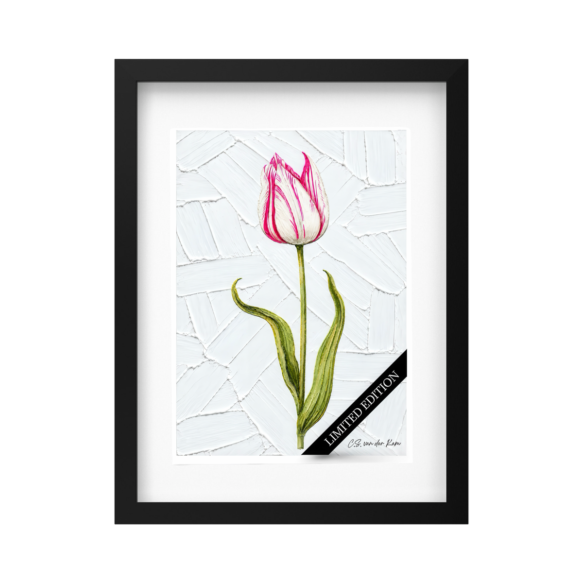 Tulp 09