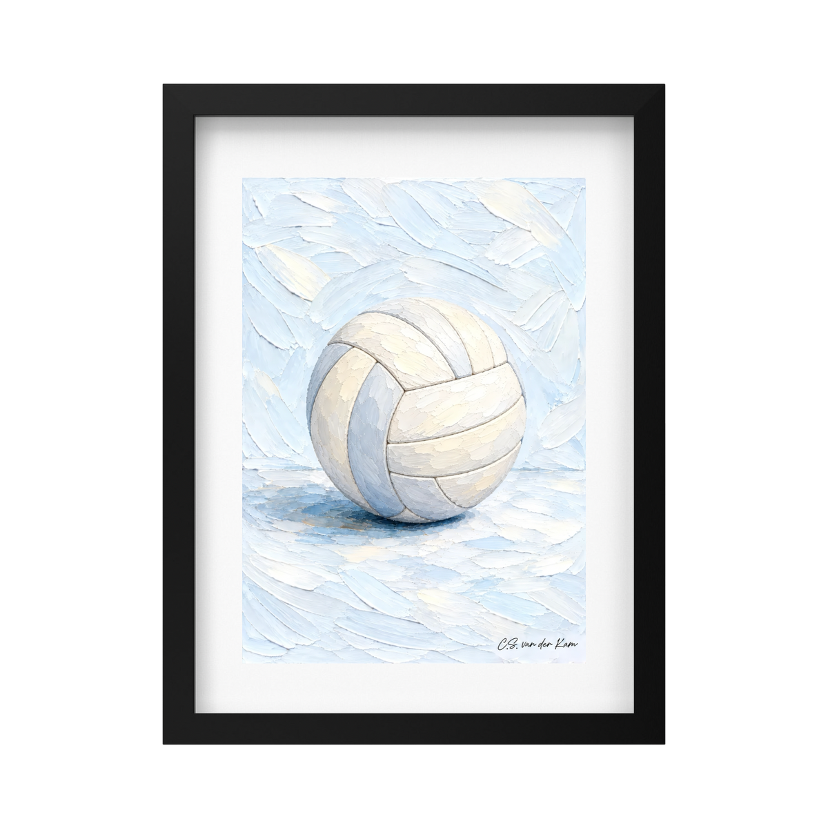 Volleybal