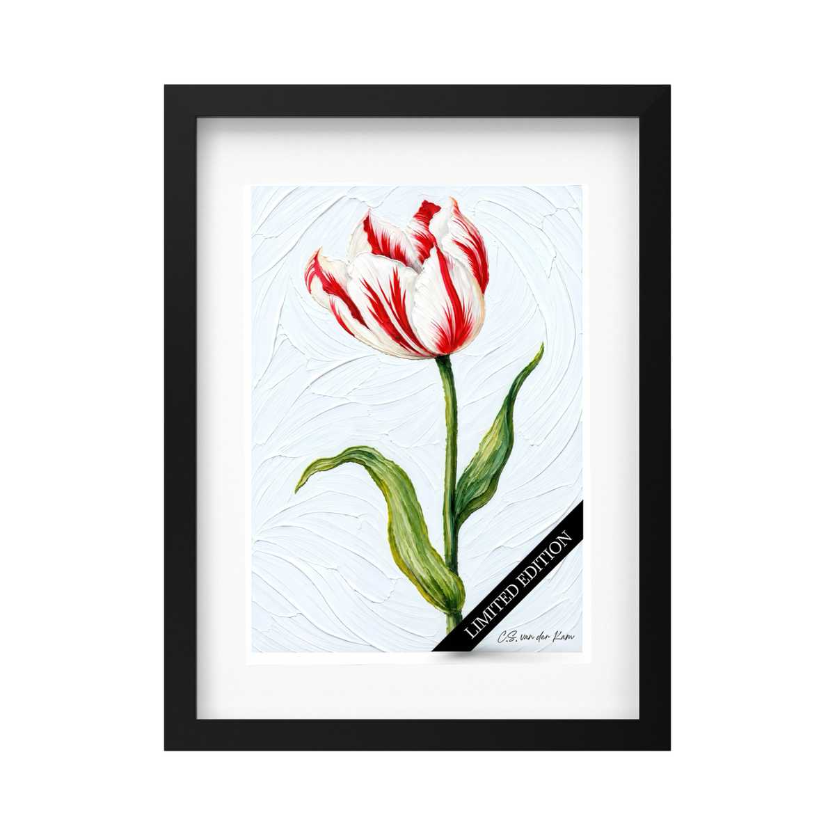Tulp 01