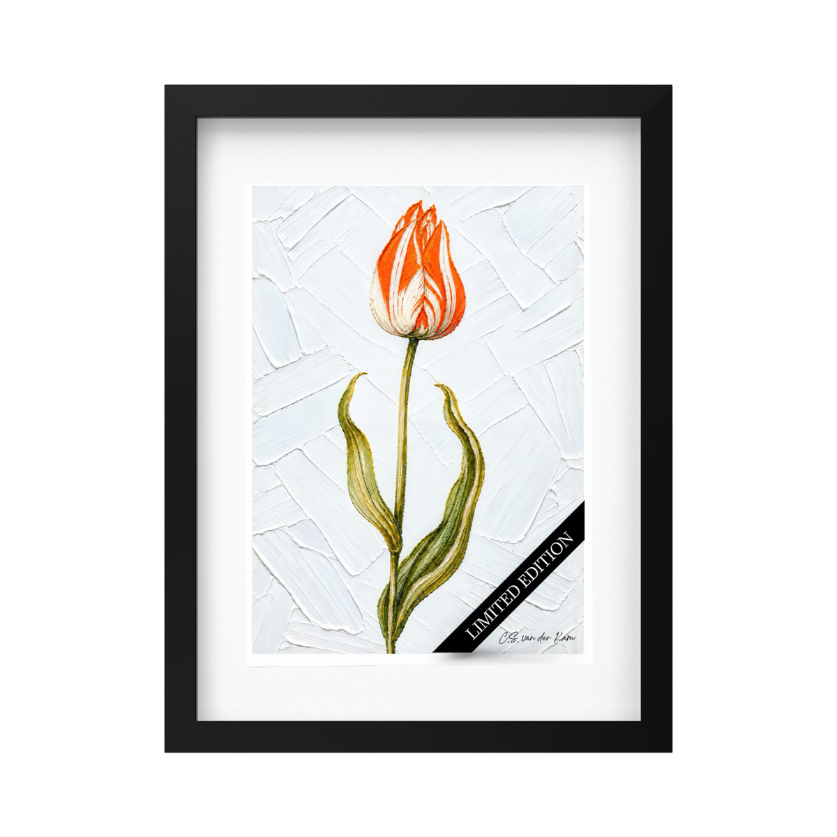Tulip 10