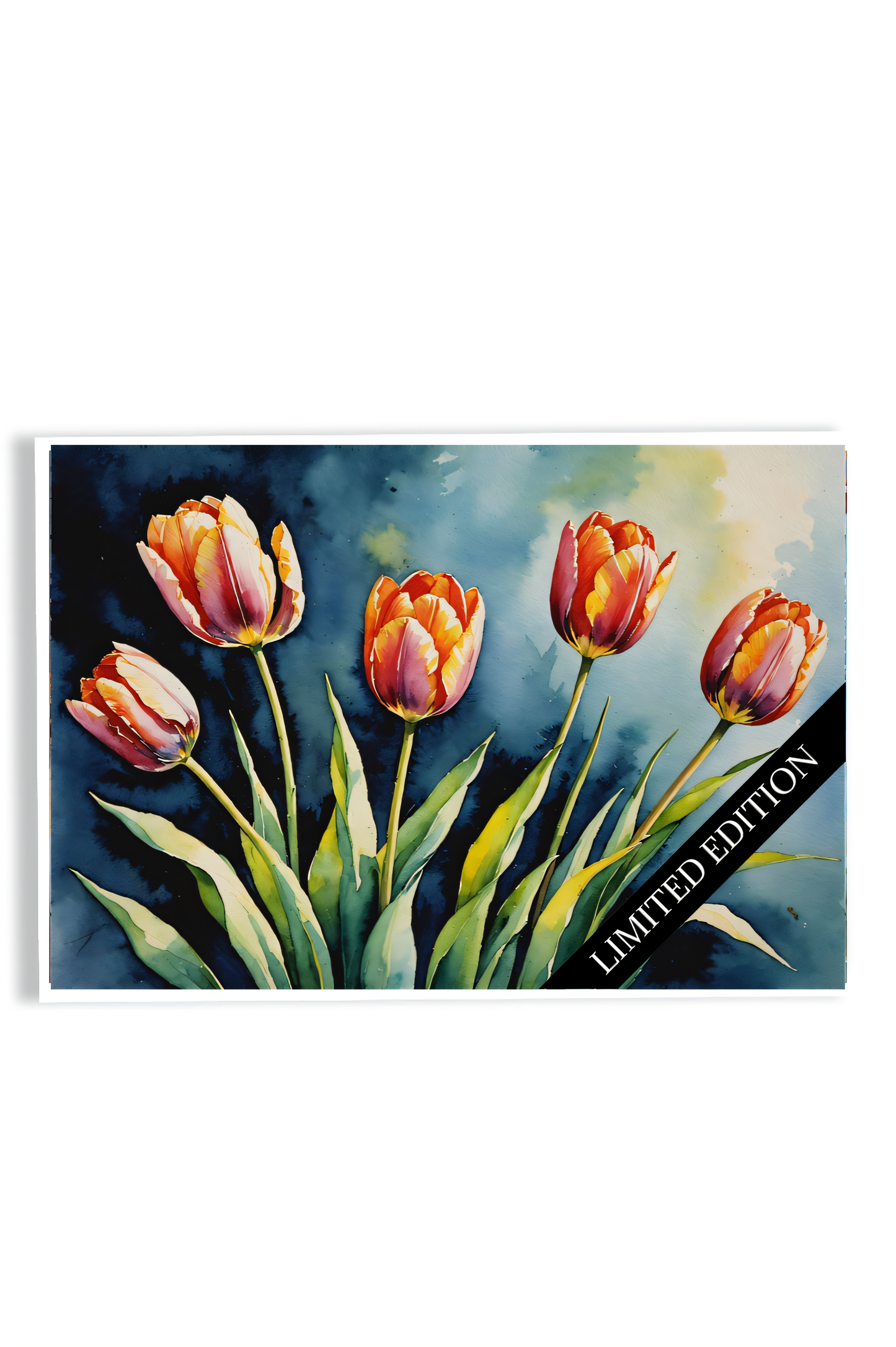 Red Tullips