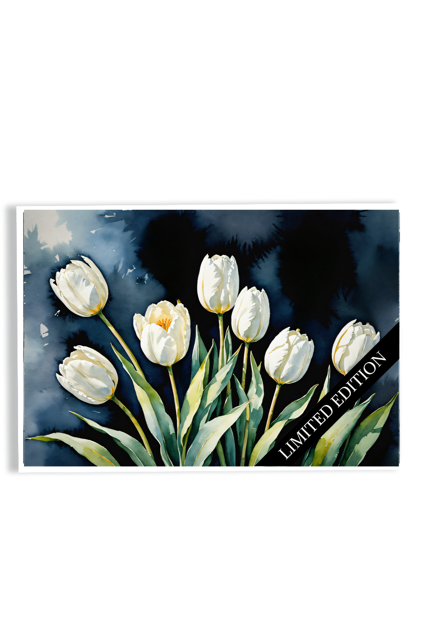 White Tullips