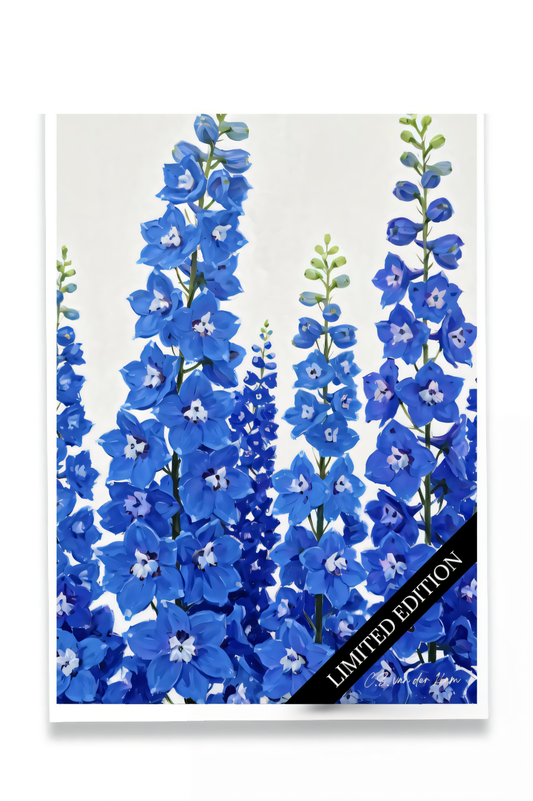 Delphinium