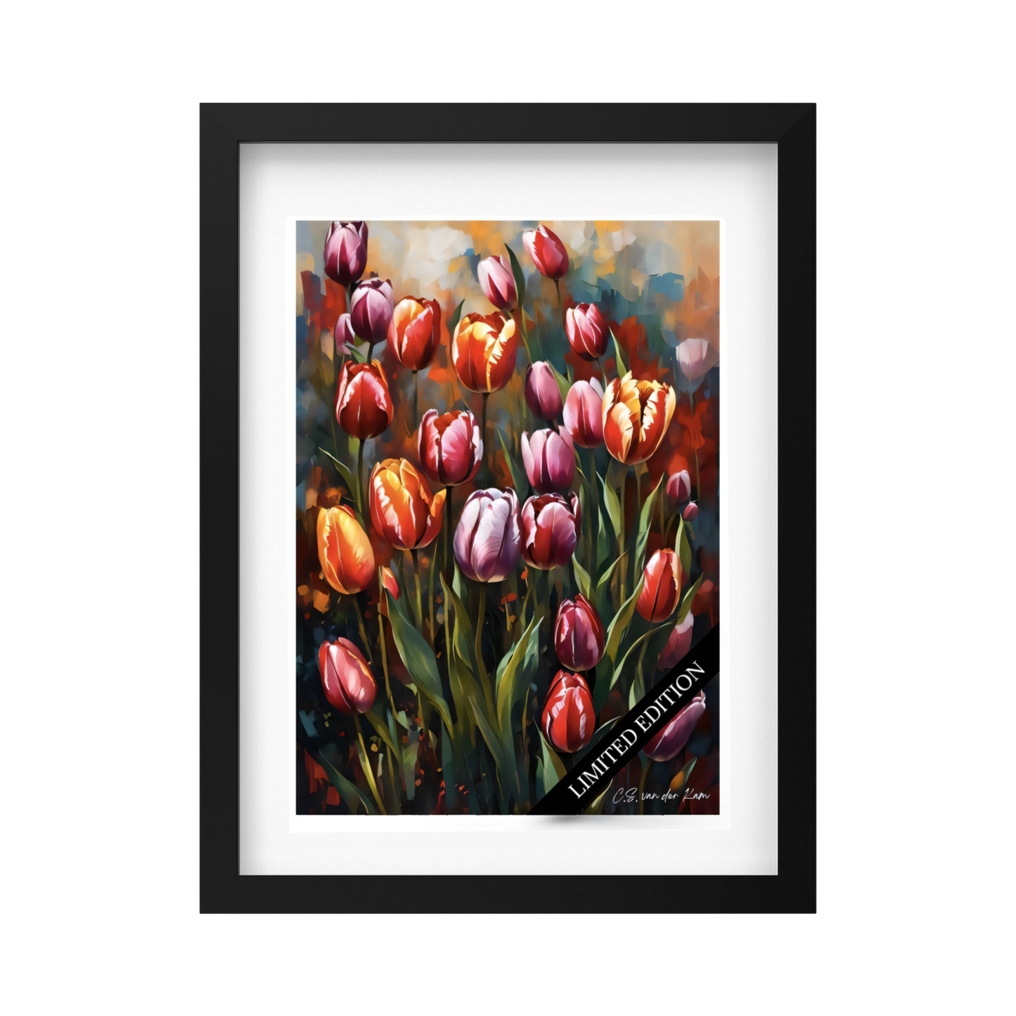 Tulips by Night