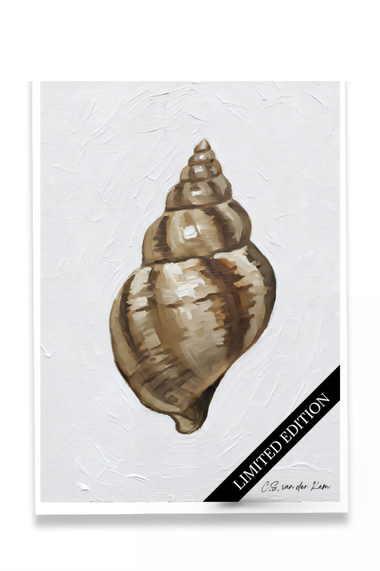 Shell II