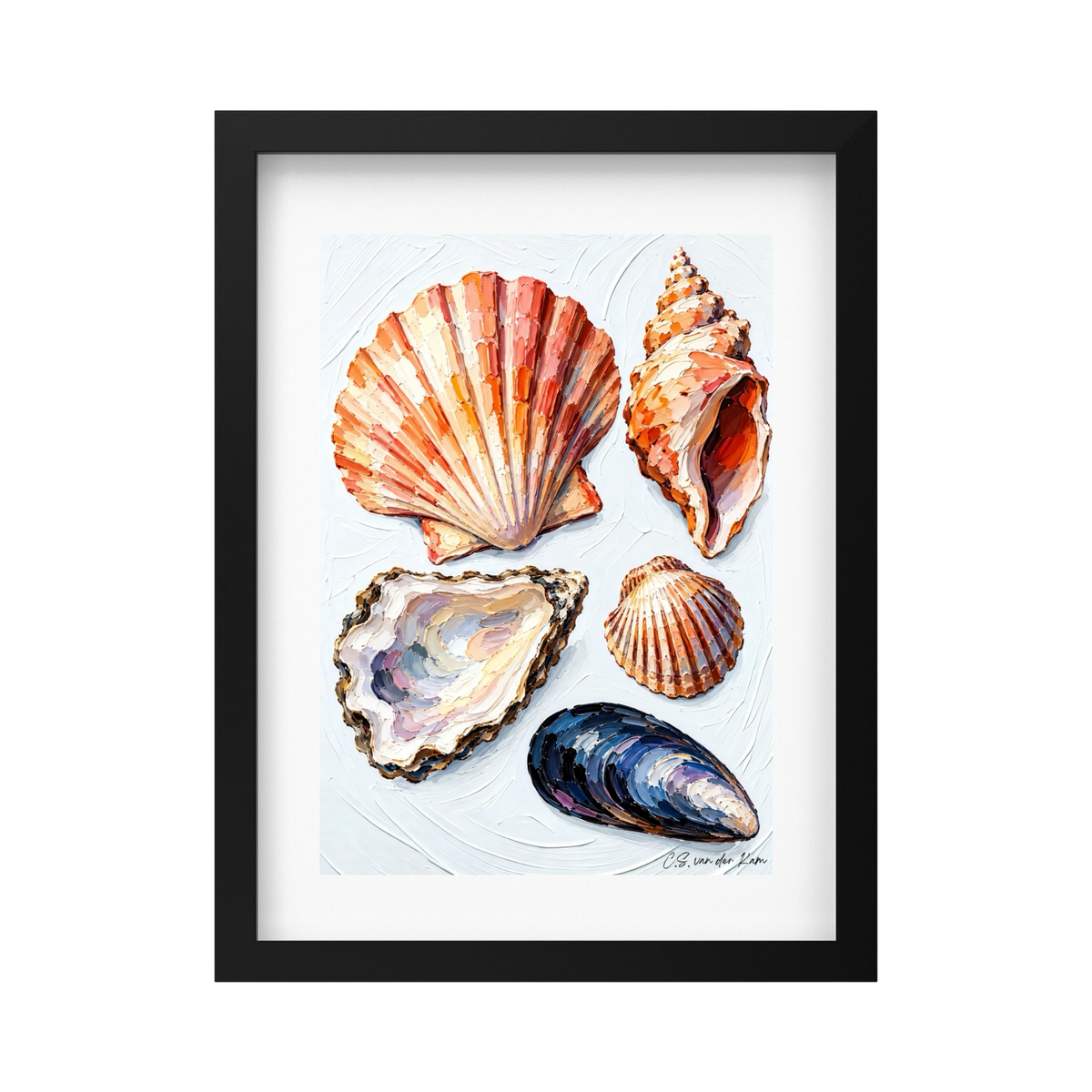 Shell Family