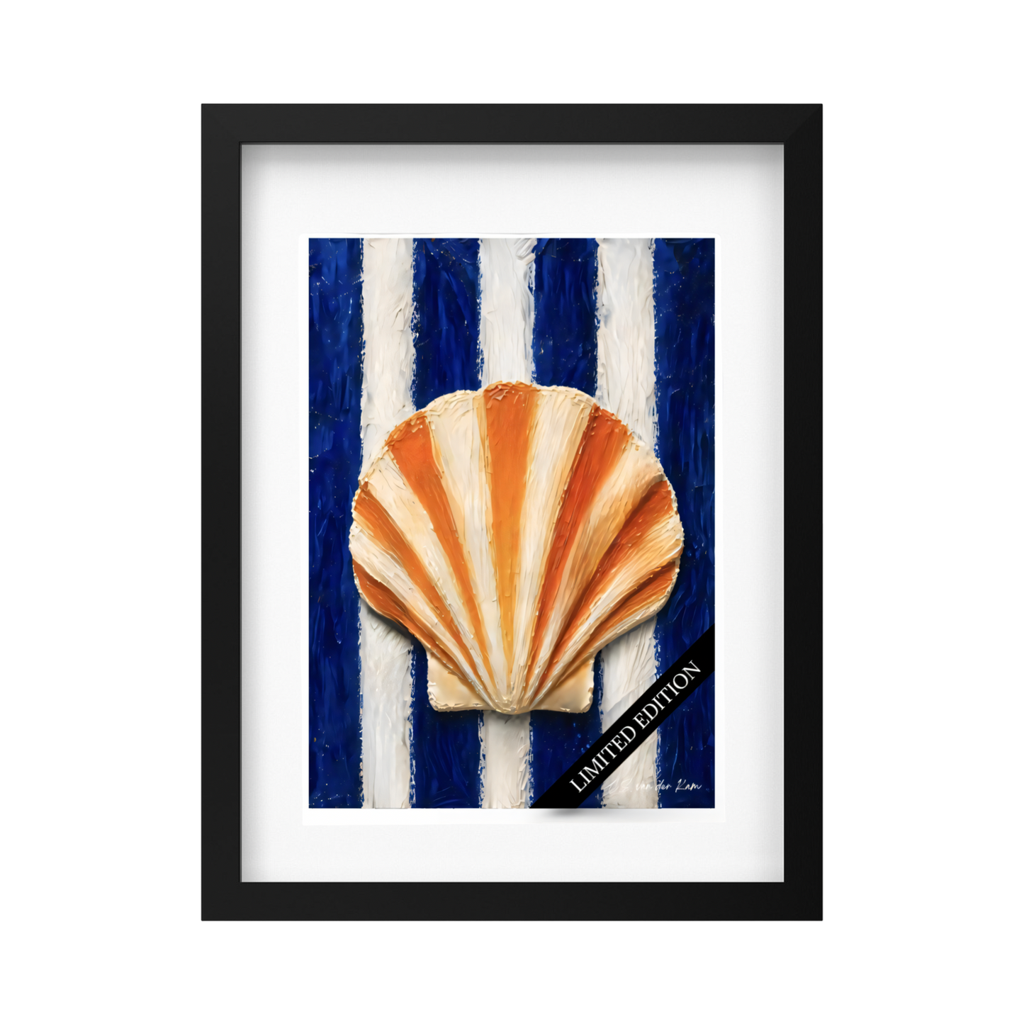 Scallop