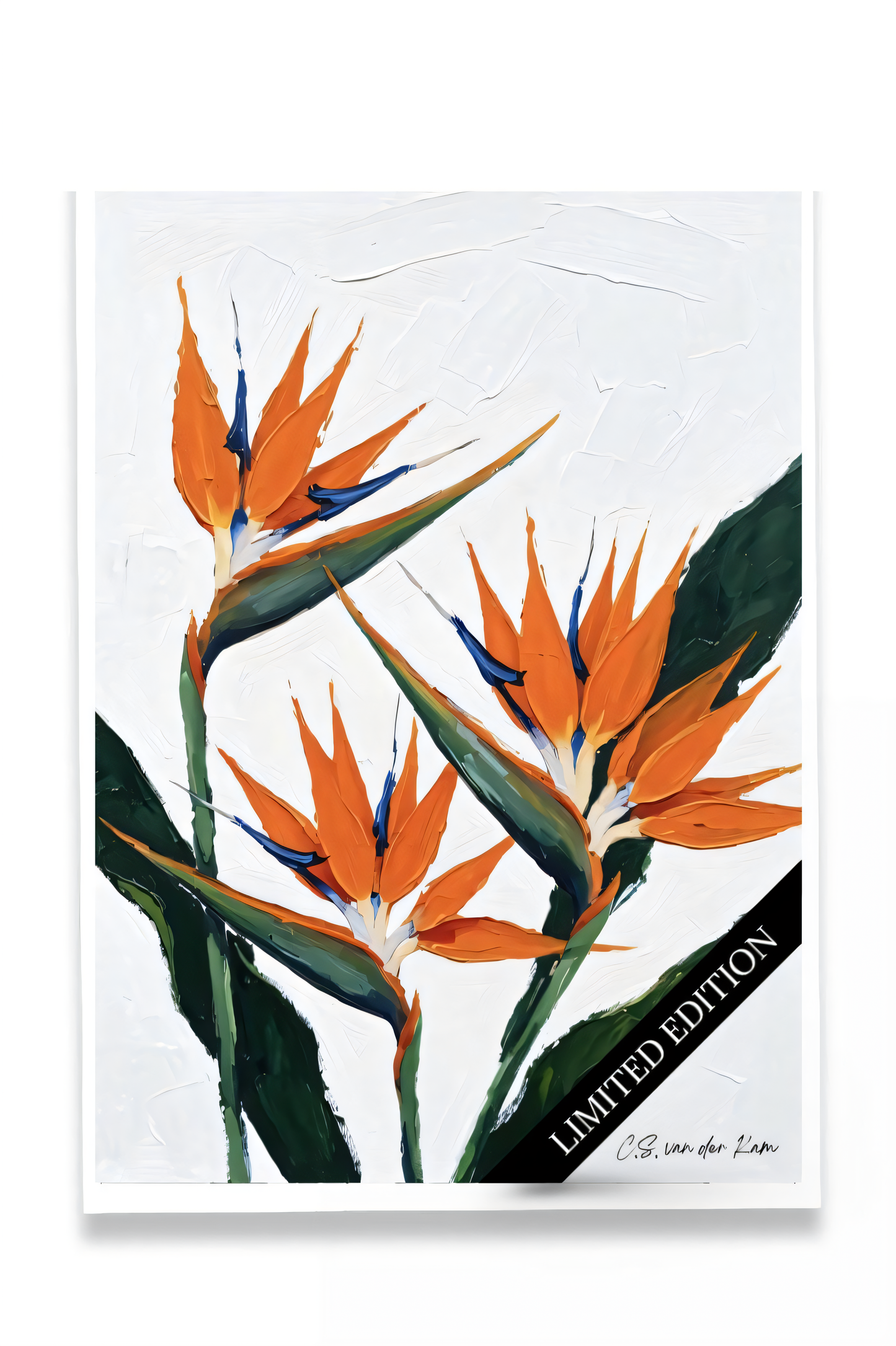 Strelitzia