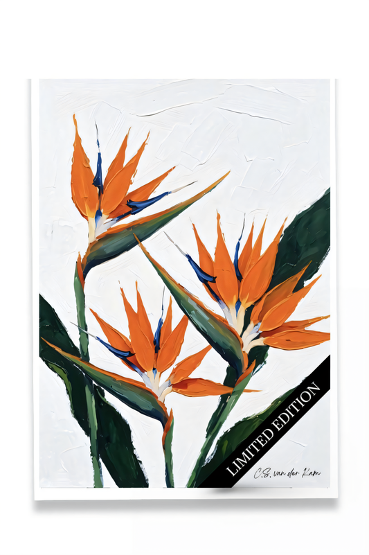 Strelitzia