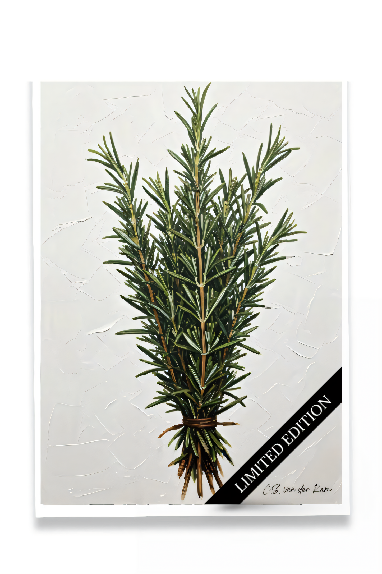 Rosemary