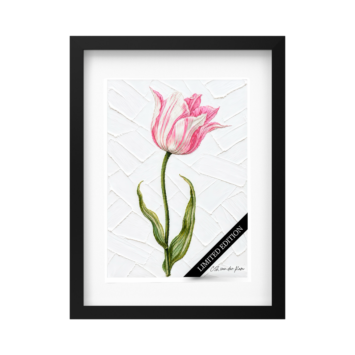 Tulp 06