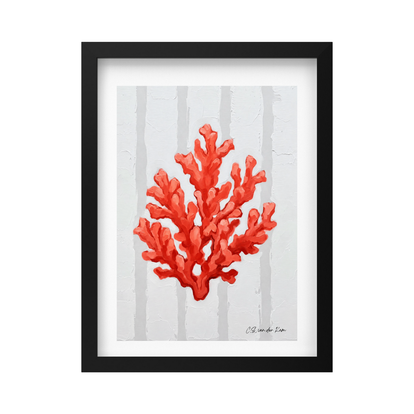 Coral Dark Pink