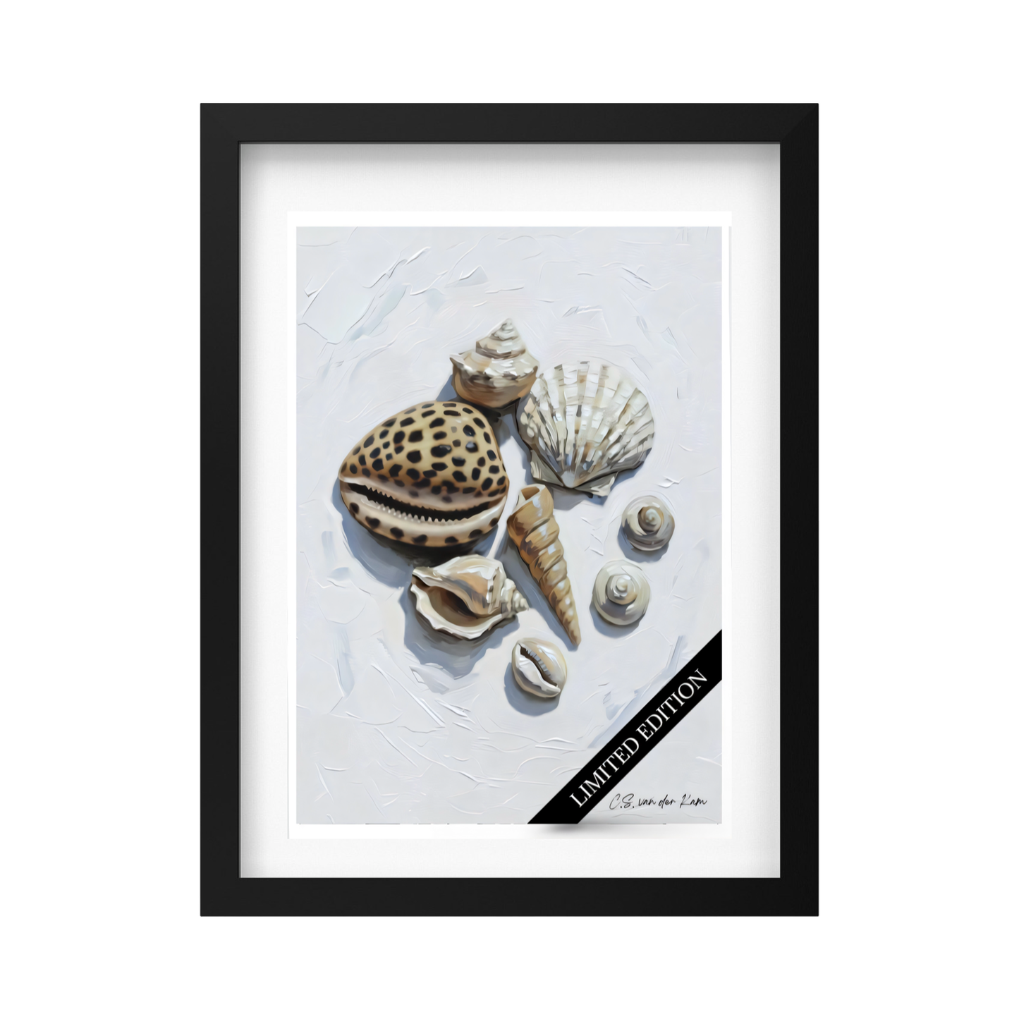 Shells