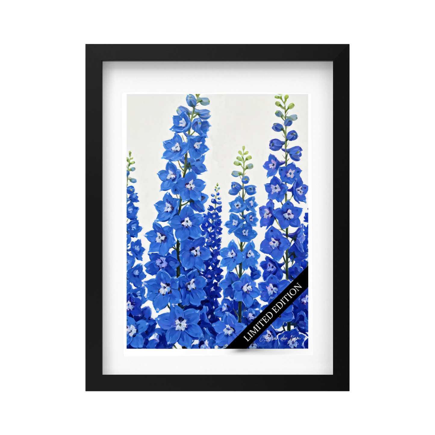 Delphinium
