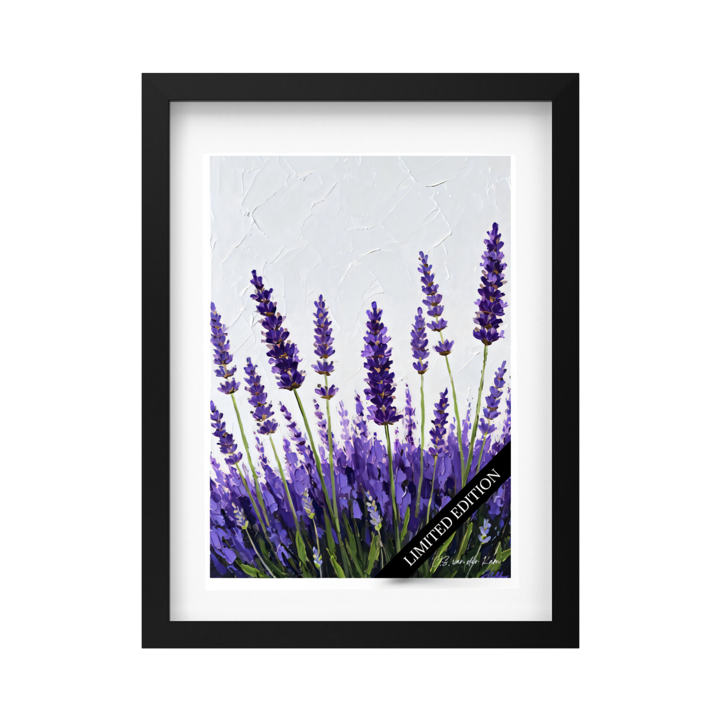 Lavender