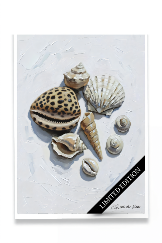 Shells