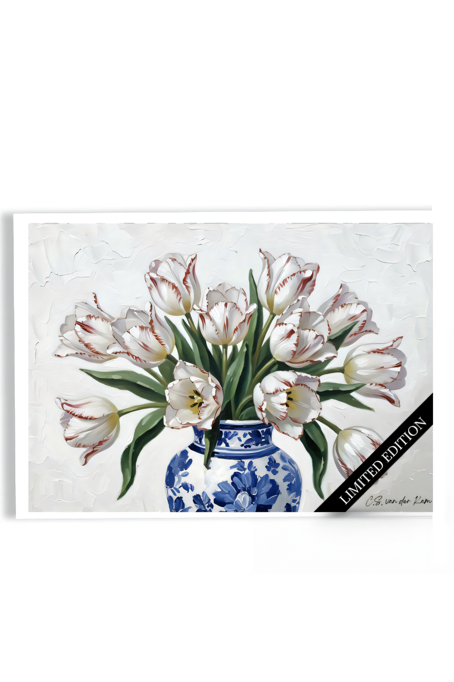 White Tulips Red Touch