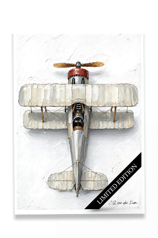 Airplane