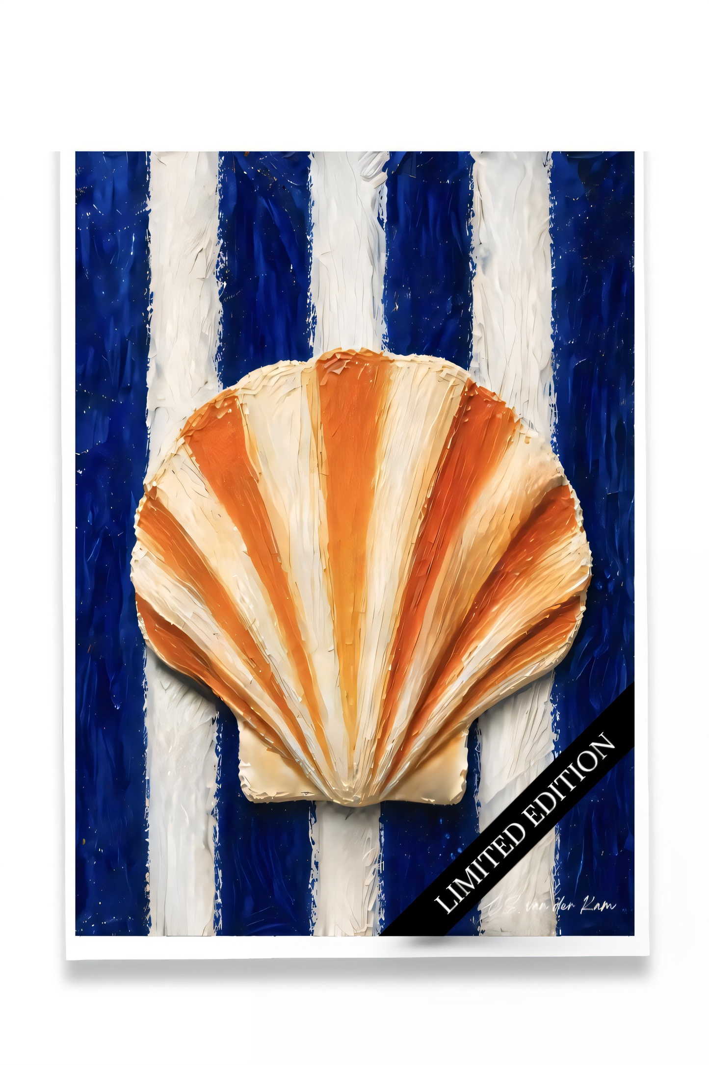 Scallop