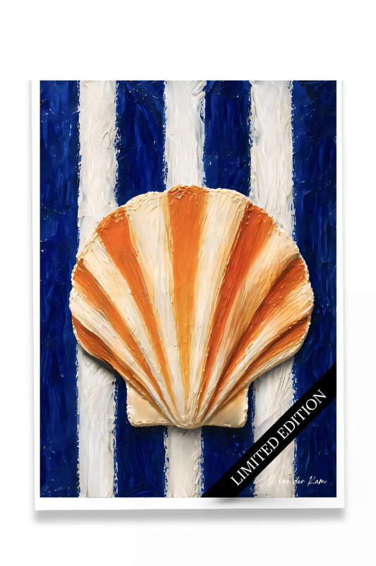 Scallop