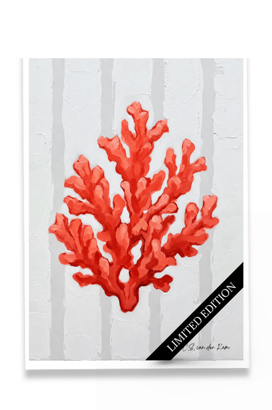 Coral Dark Pink