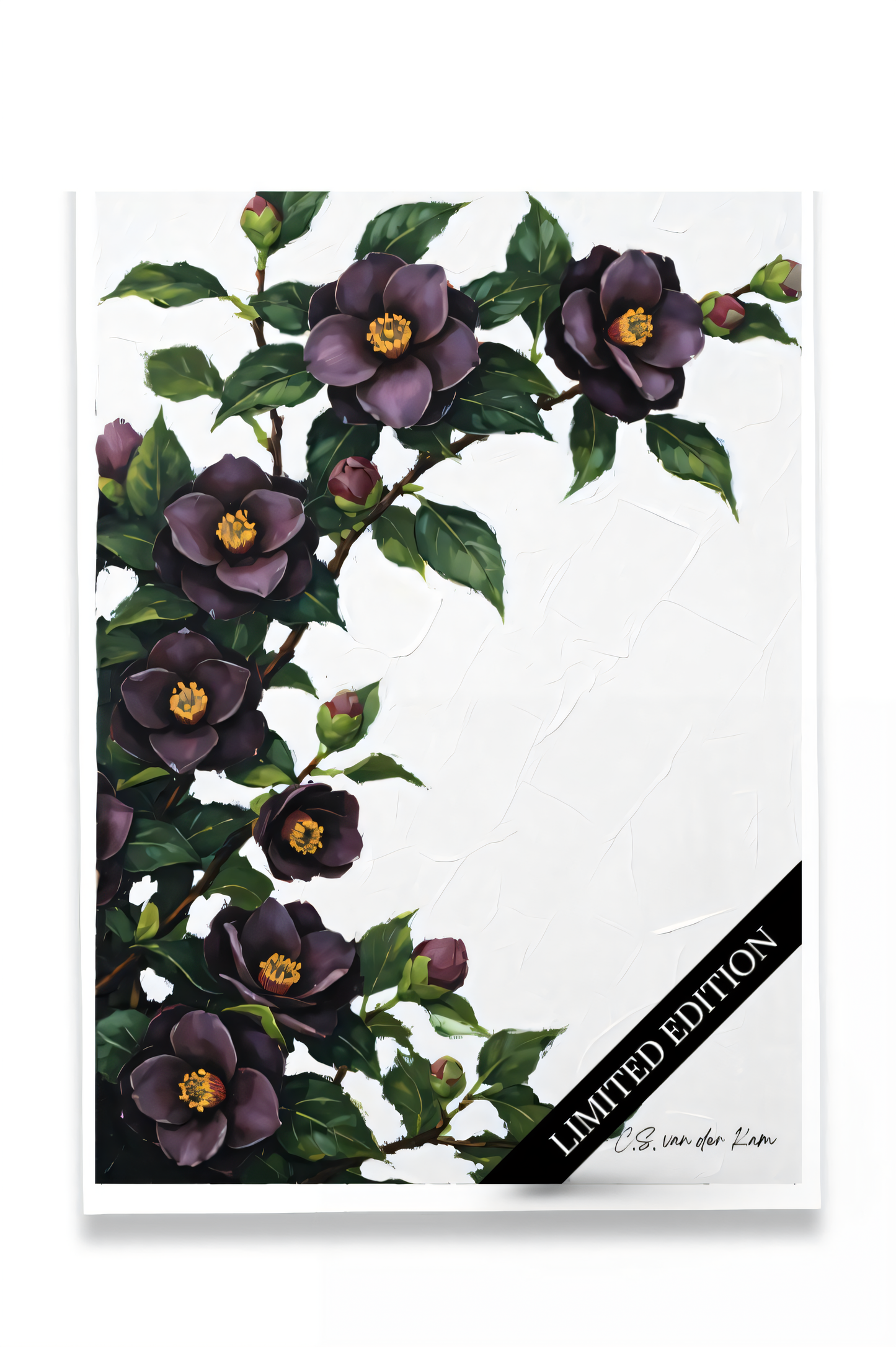 Hellebore