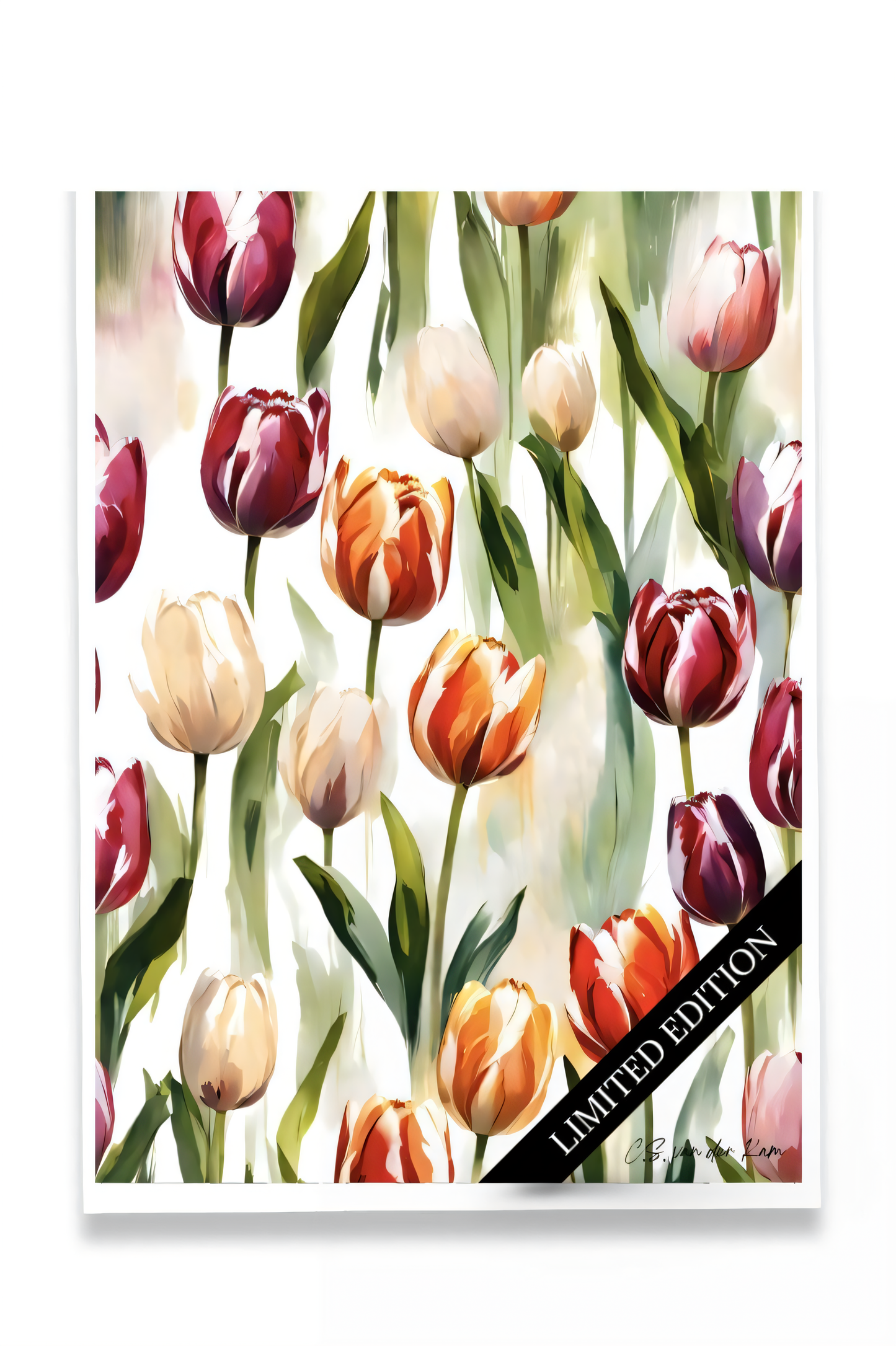 Tulip Festival