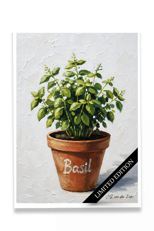 Basil