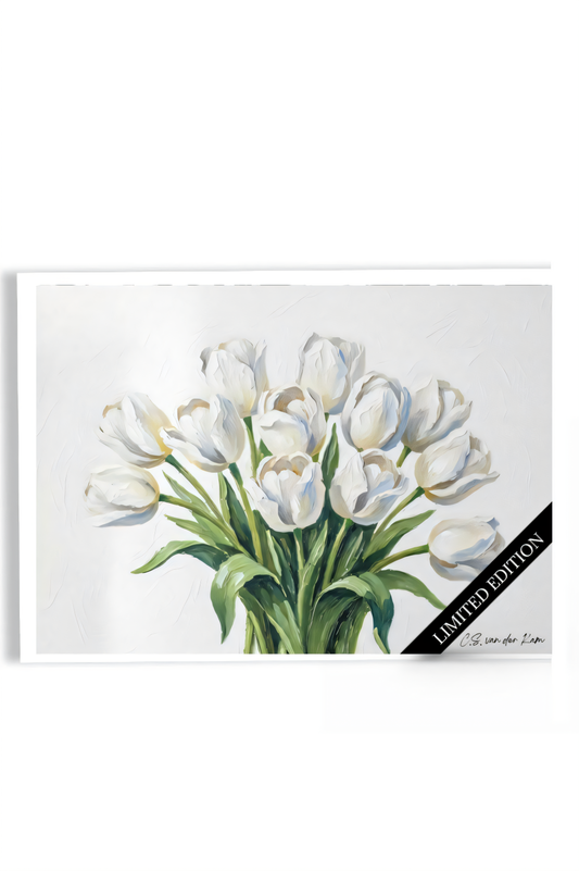 White Tulips