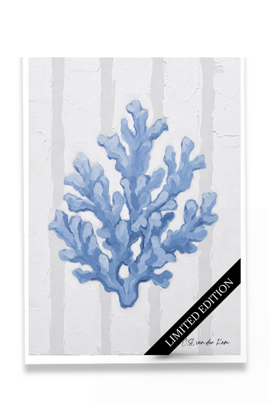 Coral Light Blue