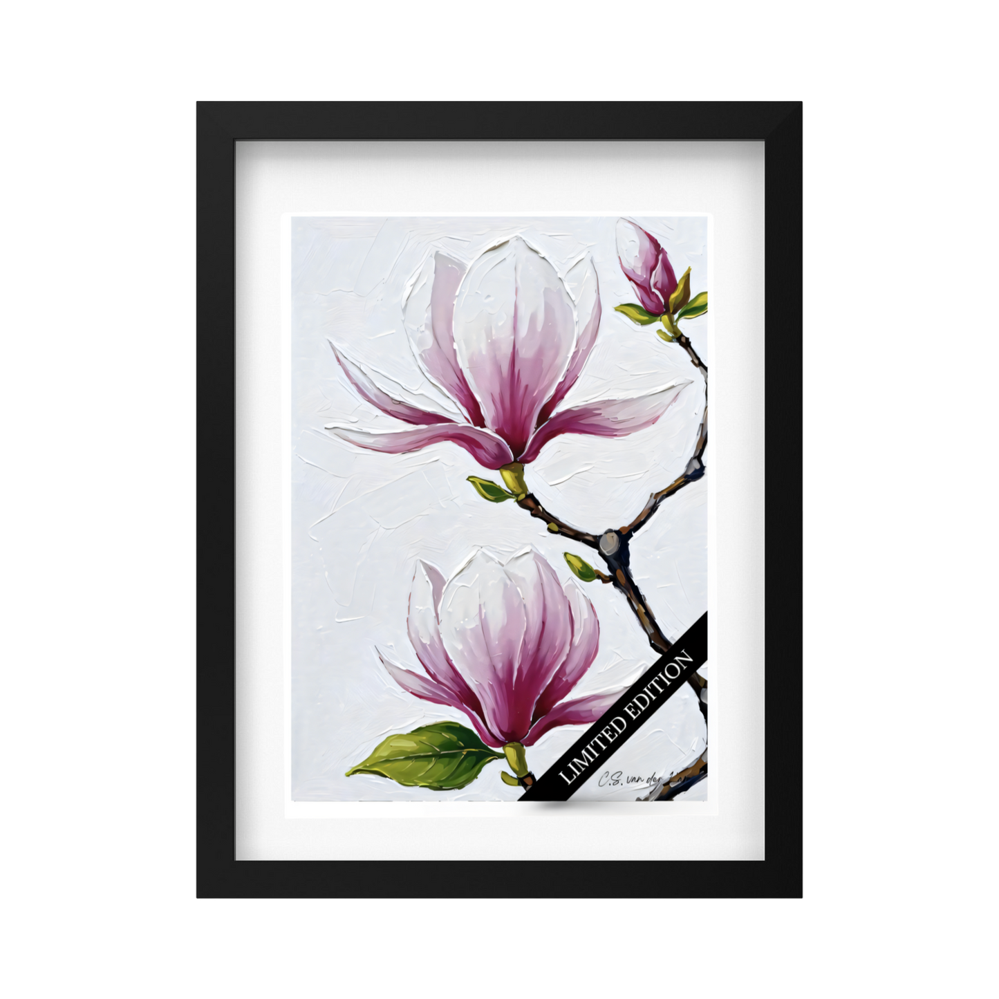 Magnolia