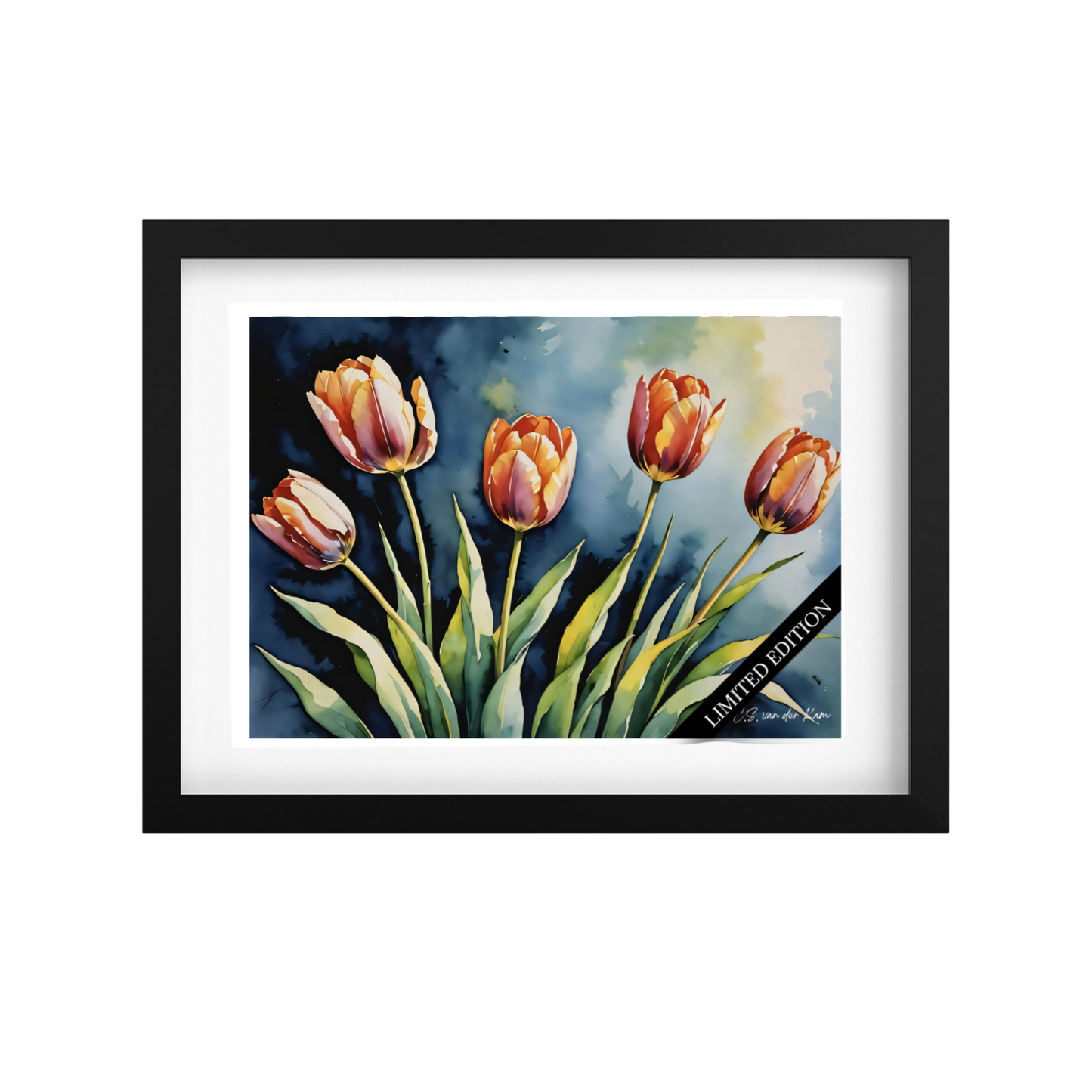 Red Tulips Blue Touch