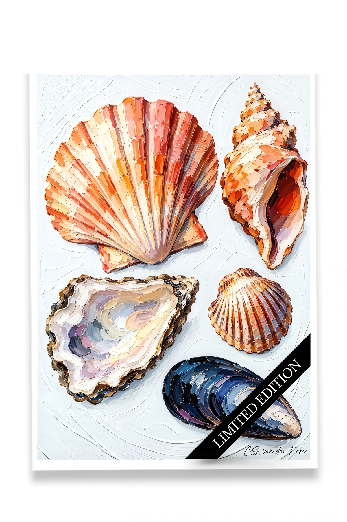 Shell Family