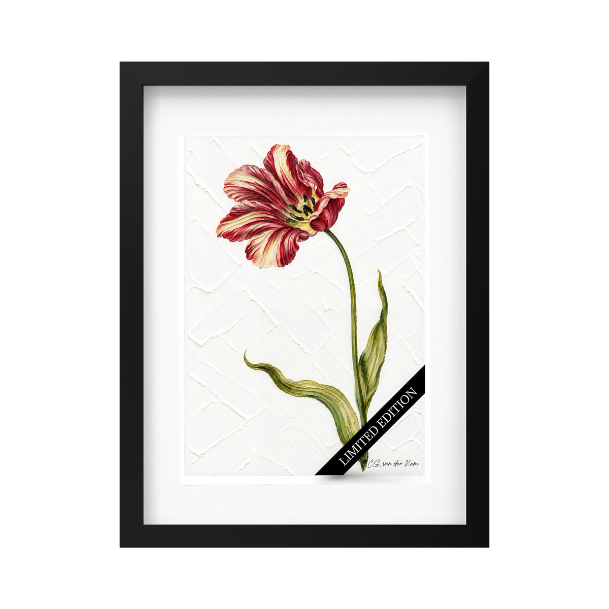 Tulp 05