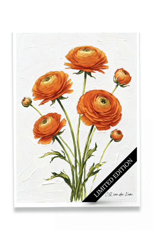 Ranunculus