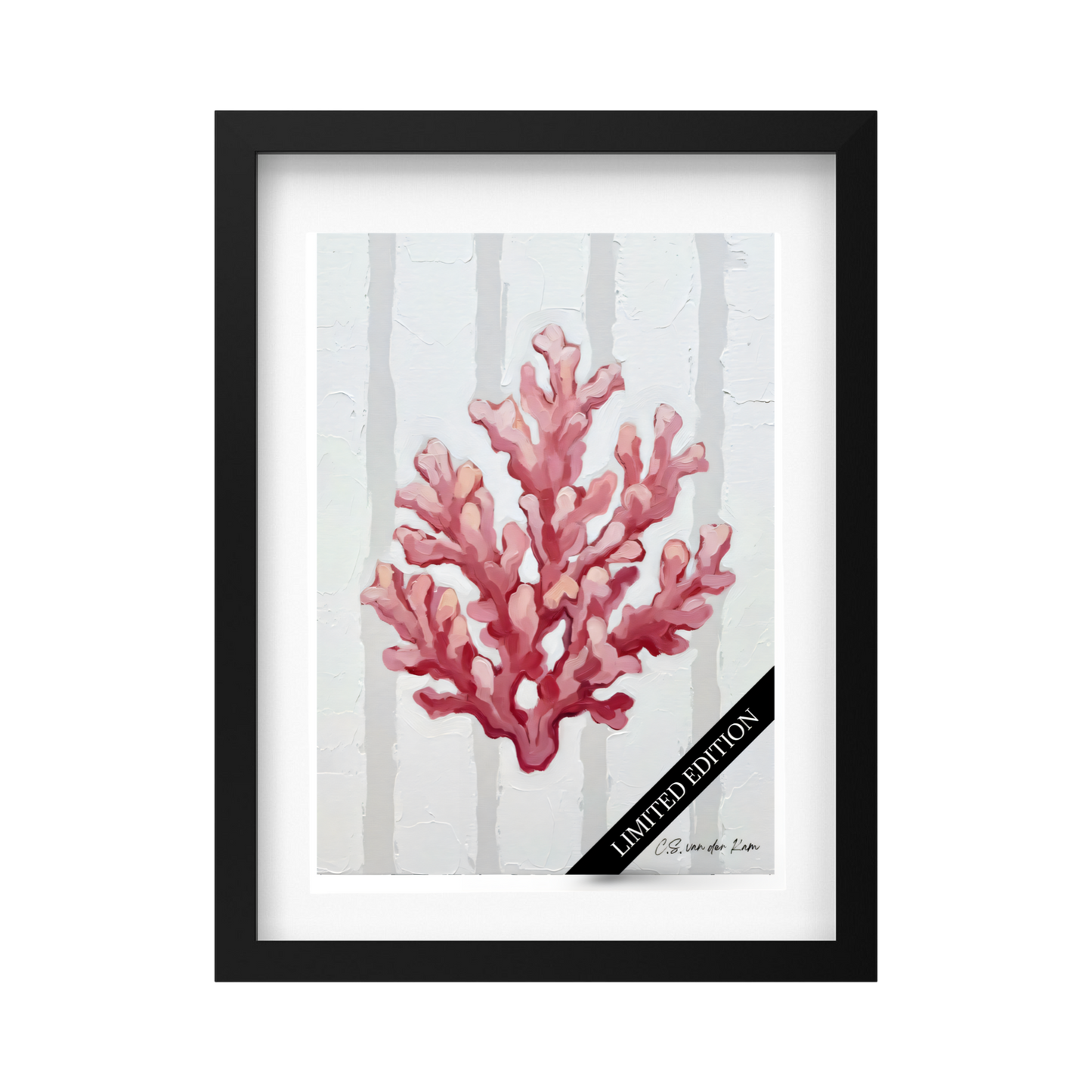 Coral Light PInk