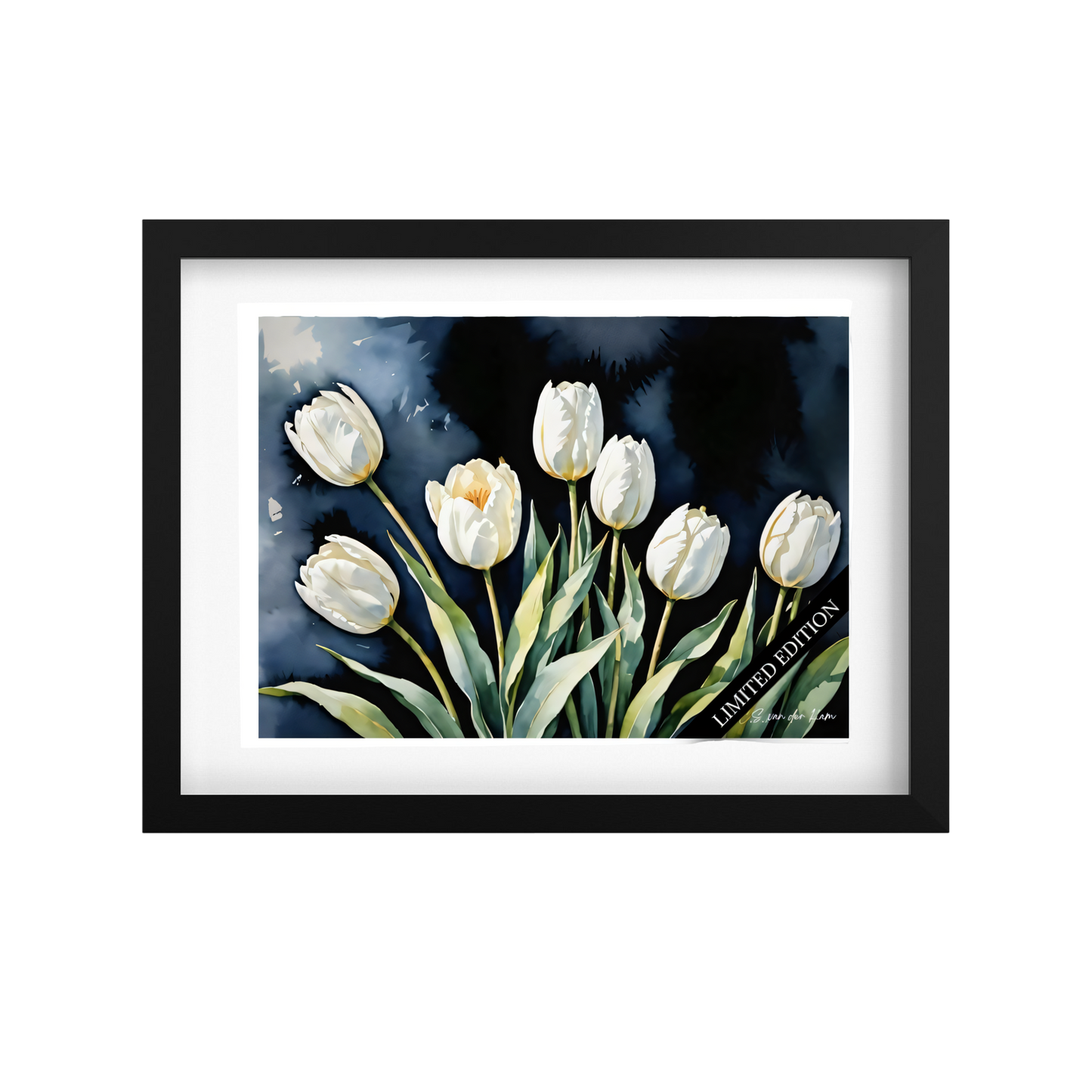 White Tulips Blue Touch