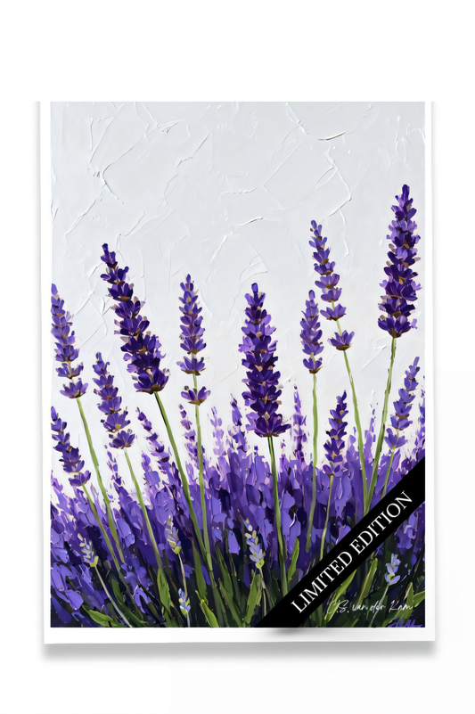 Lavender
