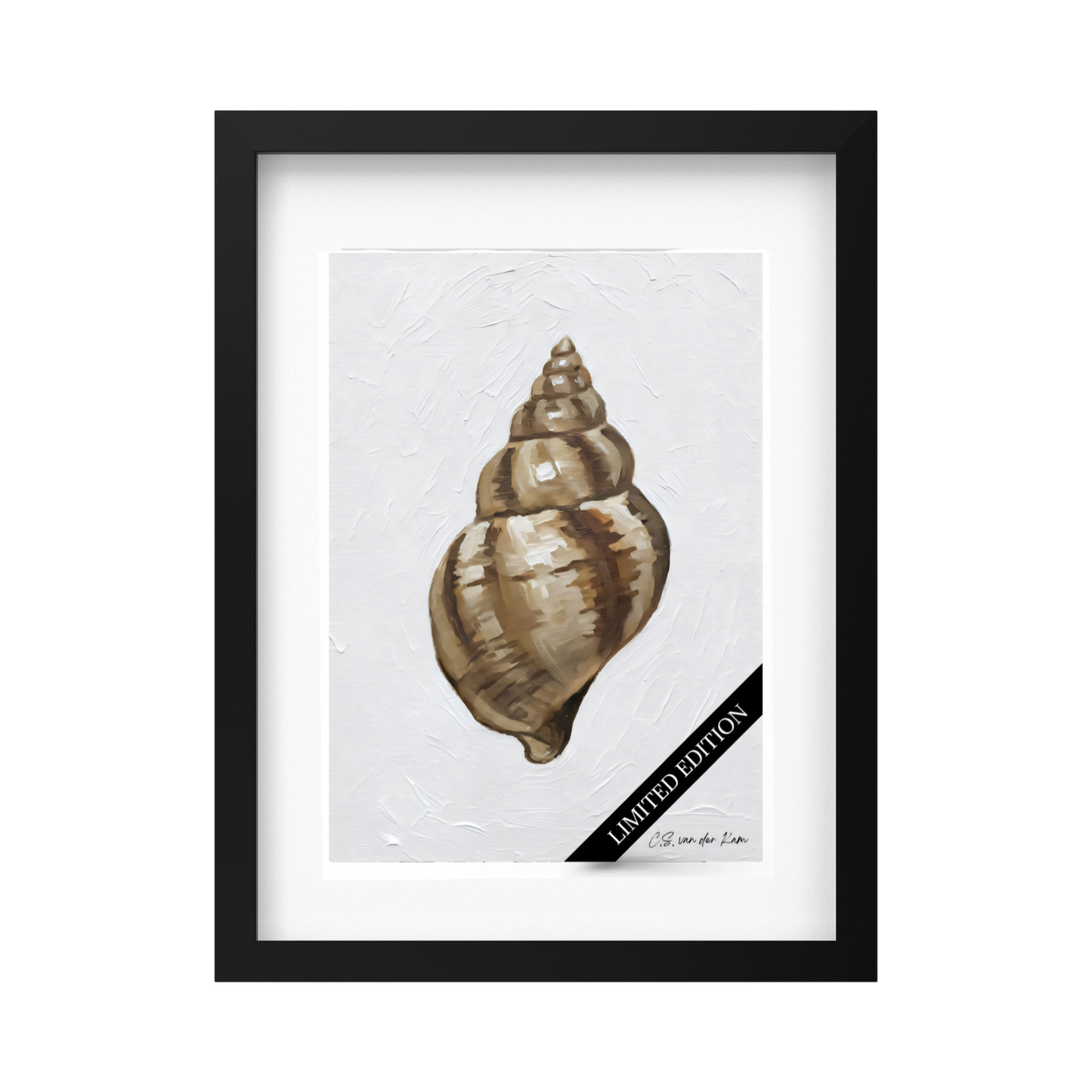 Shell II