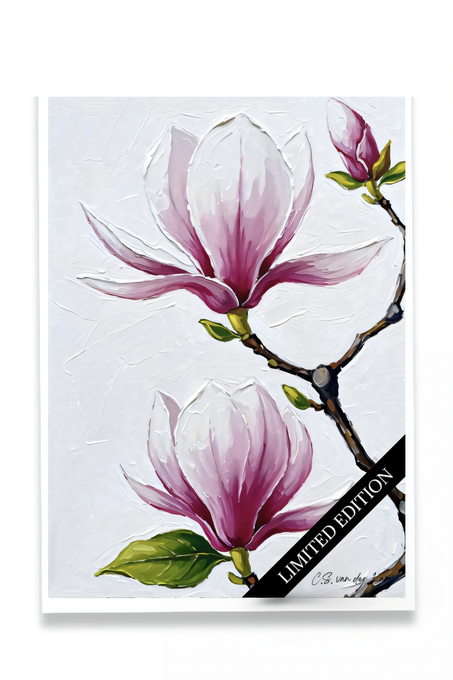 Magnolia