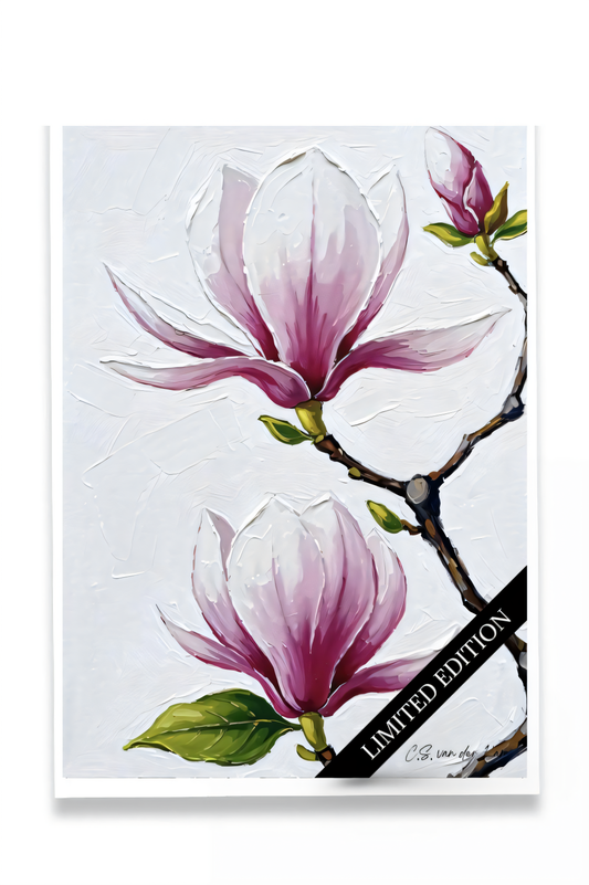 Magnolia