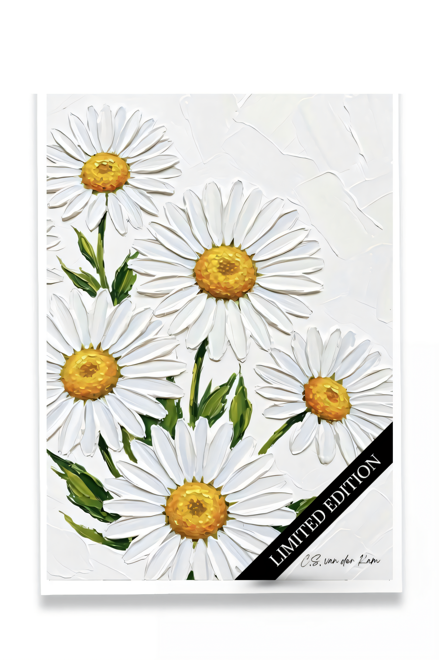 Daisies