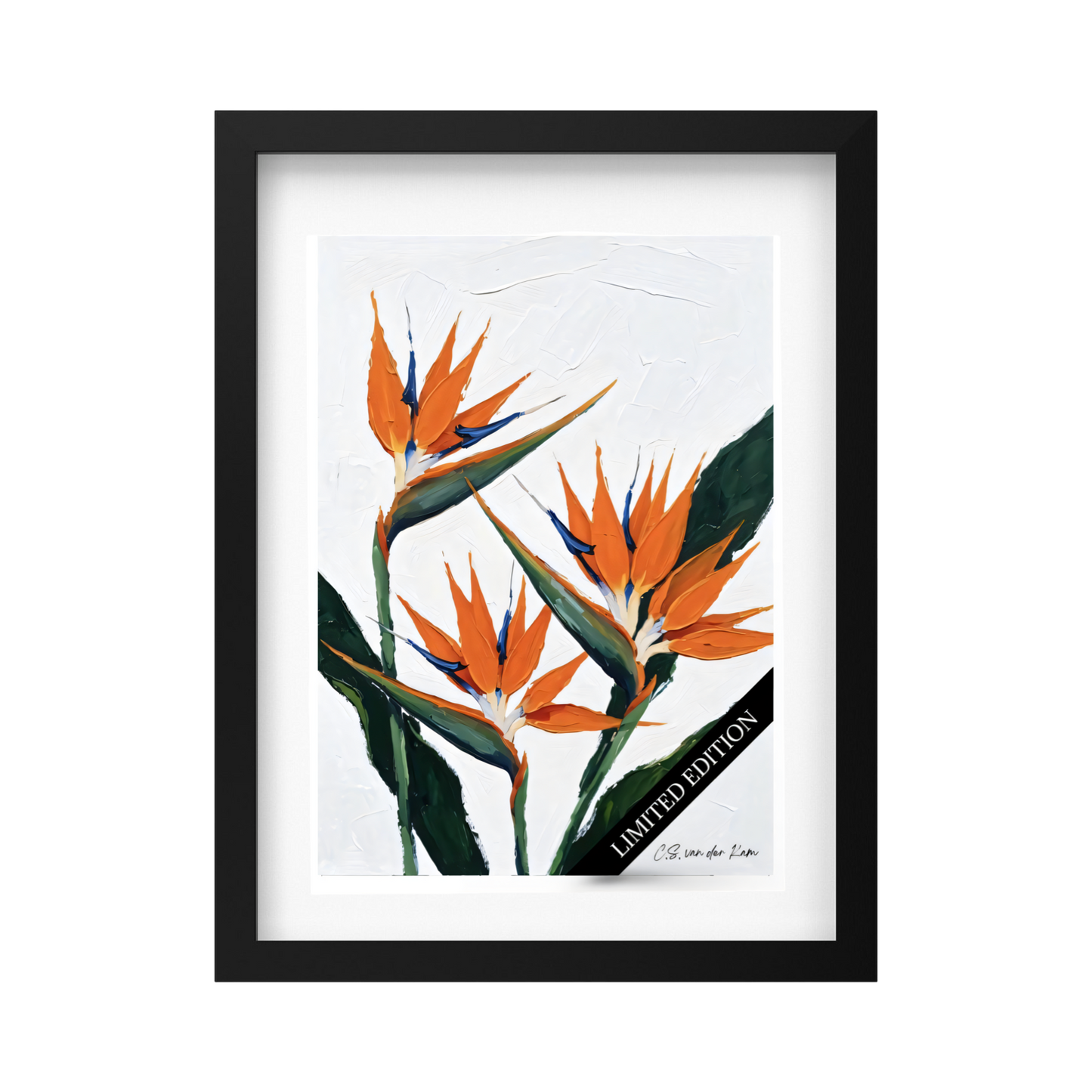 Strelitzia