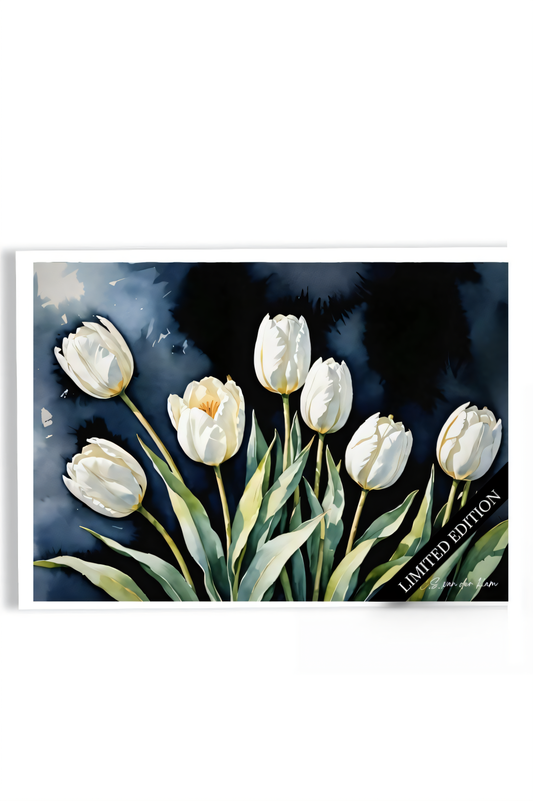 White Tulips Blue Touch