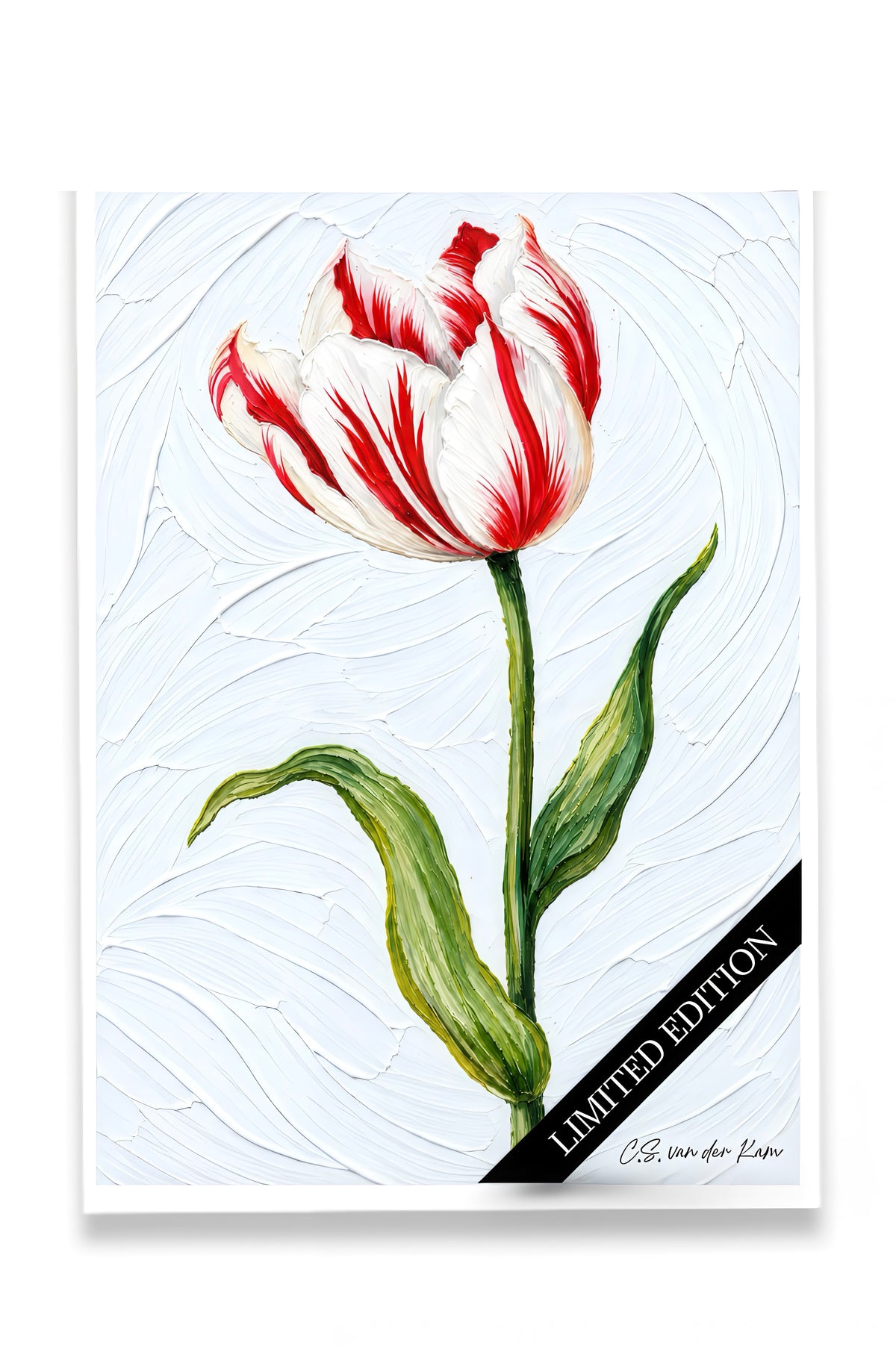 Tulp 01
