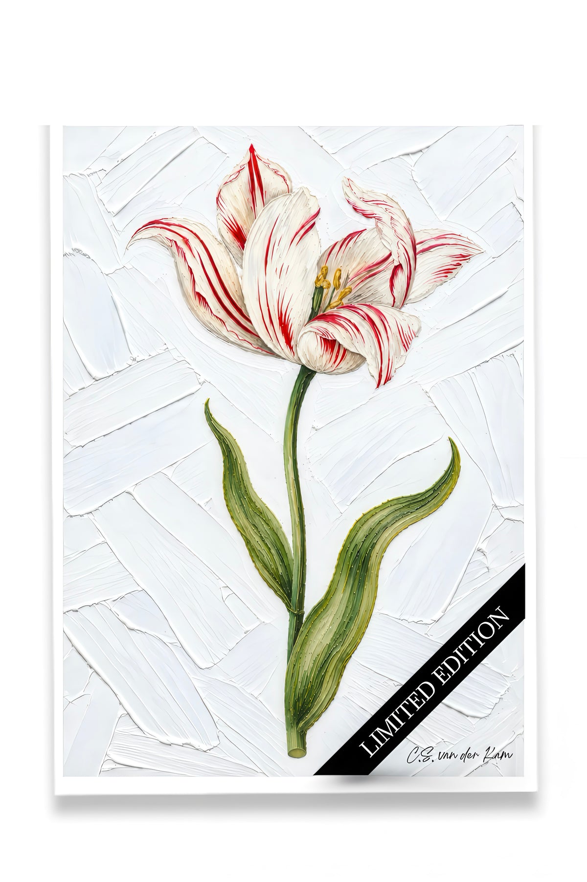 Tulp 02